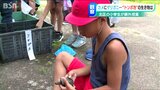 「トンボ、ザリガニ、カメを見つけたよ!」人工池で生き物観察課外授業 新潟|TBS NEWS DIG