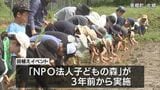耕作放棄地を活用　美郷町北郷で田植えイベント　|　MRTニュース ｜ ＭＲＴ宮崎放送