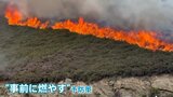 スペイン「山火事専門部隊」に密着 火災を未然に防ぐ「防火」とは? 熱感知するドローン部隊の活躍も|TBS NEWS DIG
