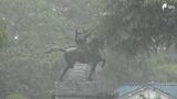 「バケツをひっくり返したような雨」17日にかけて不安定な天気続く 雷を伴った非常に激しい雨に警戒 突風などにも注意|TBS NEWS DIG