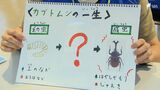 夏休みも残りわずか…必見!「まだ間に合う!自由研究」 | 静岡のニュース | SBSNEWS | 静岡放送