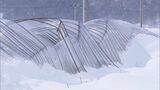 「正直魂抜けた」昭和村名産のカスミソウ栽培も…記録的大雪から2か月経過も深刻な被害 福島 | 福島のニュース│TUF