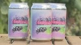 ワインには使われない廃棄ブドウを活用 小菅村のクラフトビールメーカーがブドウの風味を生かした香り高いビール造り|TBS NEWS DIG