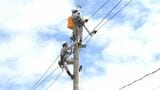 台風で電線が切れたことを想定　早期復旧を目指す訓練　鹿児島|TBS NEWS DIG