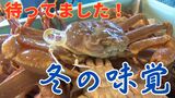 ズワイガニ初競り…最高級品「特選」は10万円で競り落とし 富山・射水市|TBS NEWS DIG