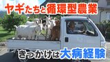 【SDGs】「動物たちは畑づくりのパートナー」ポニーとヤギと営む循環型の農業 きっかけは大病経験|TBS NEWS DIG