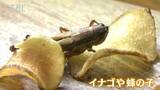 「虫」と「ワイン」が織りなす不思議な世界にようこそ…始めは論外だったけど意外にアリ?!信州発「昆虫食」×「ワイン」 長野|TBS NEWS DIG