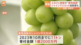 ふるさと納税のシャインマスカット11トン以上産地偽装 長野県須坂市|TBS NEWS DIG