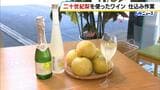 「旬のうまみを味わってもらえたら」二十世紀梨をふんだんに使用「梨ワイン」の仕込み 販売は来年1月ごろ|TBS NEWS DIG
