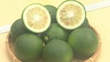「ハウスかぼす」はさみ入れ式 今季は約20トンの生産見込み 大分 | 大分のニュース|OBS NEWS|大分放送