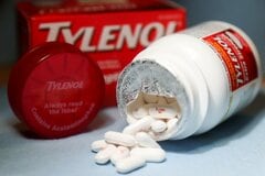 妊婦のタイレノール服用、神経発達障害と無関係－研究と米政府に溝| TBS CROSS DIG with Bloomberg