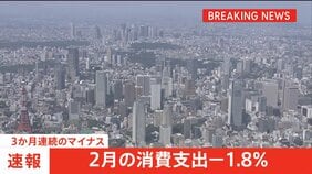 2月の消費支出1.8％減少 3か月連続のマイナス　節約志向から「メリハリ消費」が鮮明に|TBS NEWS DIG