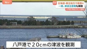 「船で揺れが分かったので逃げてきた」青森・八戸港で20cmの津波観測　80代女性が転倒しけが　北海道・東北地方で震度4|TBS NEWS DIG