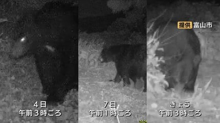 クマが同じ場所に6回…AIカメラに成獣1頭、体長1m超か 11月に入ってから