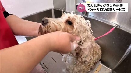 広大なドッグランやセルフシャンプーなど・・・ ペットと人が快適に
