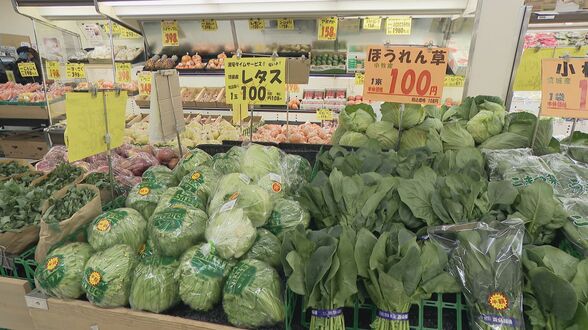 「もはや驚かない」の声多数 4月から食品2798品目値上げ 一方…愛知のスーパーでは「野菜お値打ち コメは落ち着く傾向」 | 名古屋・愛知・岐阜・三重のニュース【CBC news】 | CBC web