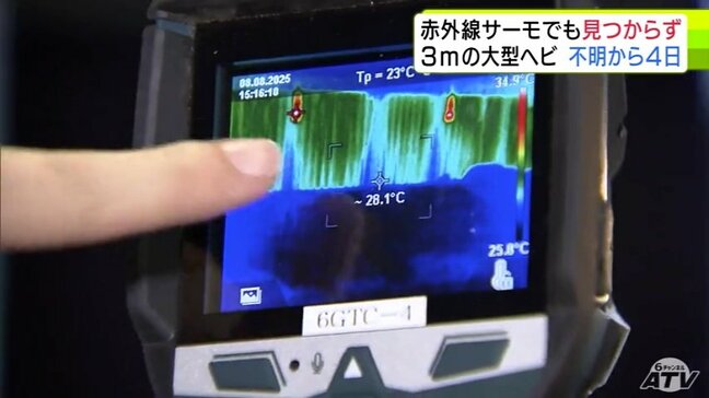 【続報】消えた3ｍの「ヘビ」赤外線サーモ導入も見つからず…　捜索は難航　ペットショップから行方が分からなくなり4日目　店では壁や床をはがして捜すとともに「わな」も倍増|TBS NEWS DIG