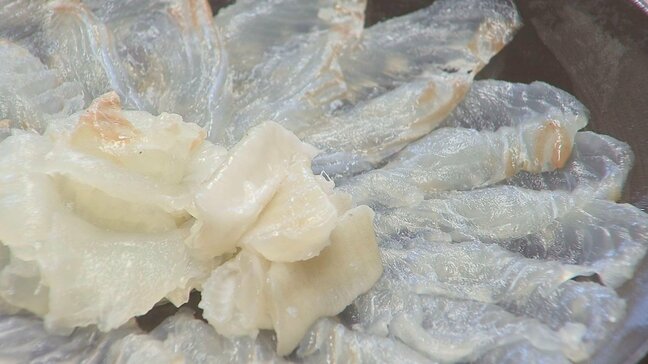 養殖ヒラメ全国一　佐伯市の生産者が知名度アップを市長に訴え　大分|TBS NEWS DIG