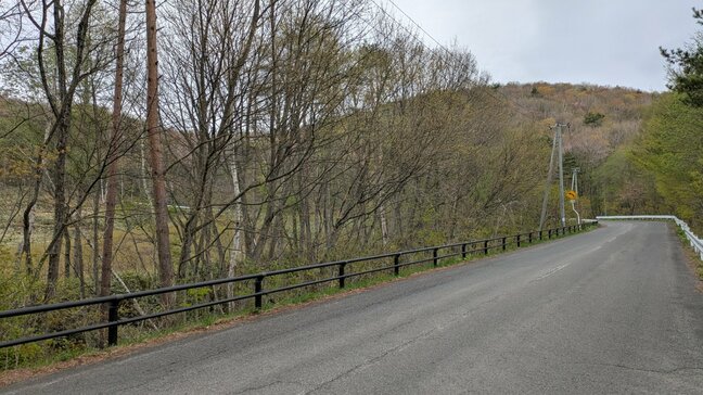 山菜採りの男性2人がクマに襲われけが　岩手・八幡平市の山林|TBS NEWS DIG