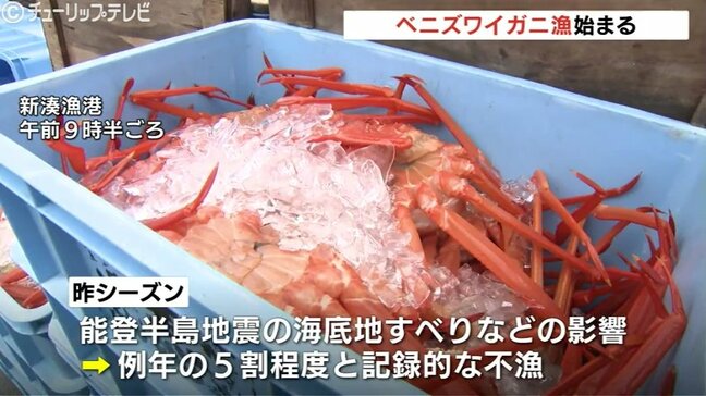 「たくさん獲れたほう、うれしい」 富山湾の秋の味覚 ベニズワイガニの初水揚げ 昨季は記録的な不漁も巻き返しへ|TBS NEWS DIG