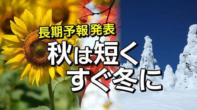 【四季→二季】気象庁が3か月予報・寒候期予報発表　前年と同様「秋が短くすぐに冬に」晩秋から初冬への急な気温低下に注意　tbc気象台|TBS NEWS DIG