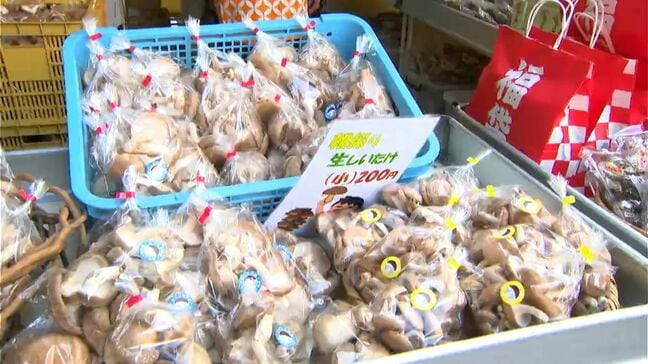 「かごしま原木しいたけフェア」大行列　30回記念福袋の販売も　鹿児島市|TBS NEWS DIG
