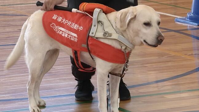 盲導犬の役割などについて知って 小学校で出前授業『盲導犬学校キャラバン』「人のことをちゃんと聞いているのがすごい」【岡山】|TBS NEWS DIG