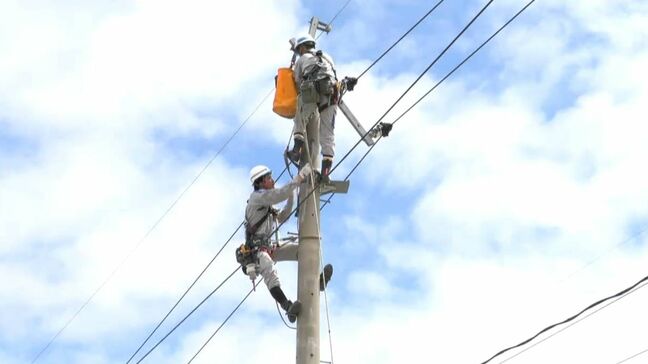 台風で電線が切れたことを想定 早期復旧を目指す訓練 鹿児島|TBS NEWS DIG