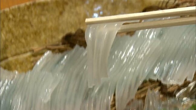 豊漁なのに…函館名物「活イカ」が消える!?　全国的なスルメイカ豊漁で、イカの北上途中に漁獲枠到達　北海道南部では最盛期に休漁「収入無くなった」　観光地にも打撃|TBS NEWS DIG