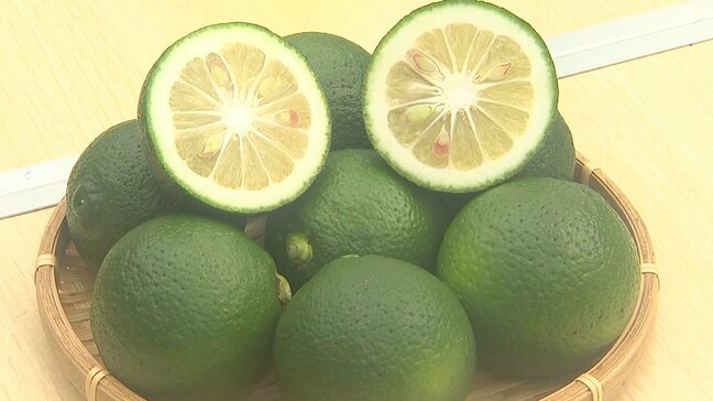 「ハウスかぼす」はさみ入れ式　今季は約20トンの生産見込み　大分|TBS NEWS DIG