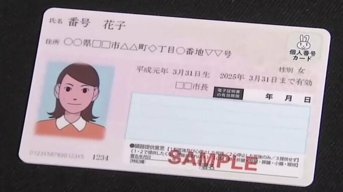 マイナ免許証と運転免許証　「両方保有」の多さの背景に紛失リスク