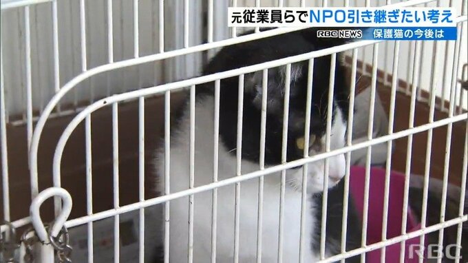 【続報】保護猫 約500匹を元従業員らが受け入れつつ立て直し目指す　沖縄|TBS NEWS DIG