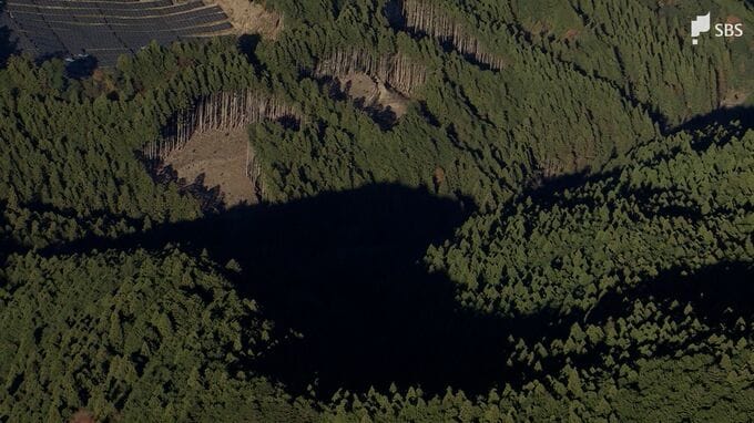 山中で飲食店経営者の男性の遺体発見 31歳の男を殺人罪で起訴 アルバイト店員の女は不起訴に＝静岡地方検察庁　|　静岡のニュース | SBSNEWS | 静岡放送