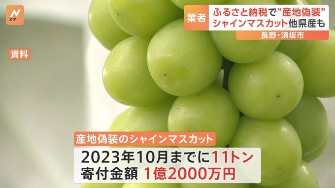 ふるさと納税のシャインマスカット11トン以上産地偽装　長野県須坂市|TBS NEWS DIG