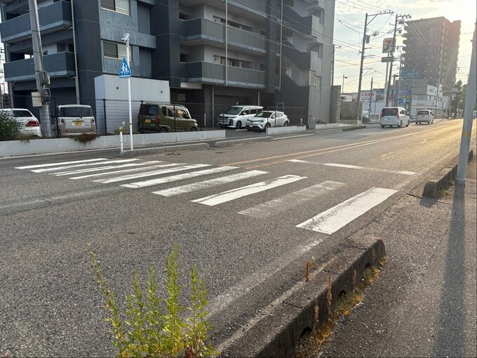 小学生の女の子が軽乗用車にはねられ重傷…運転の女を現行犯逮捕　山口・山陽小野田|TBS NEWS DIG