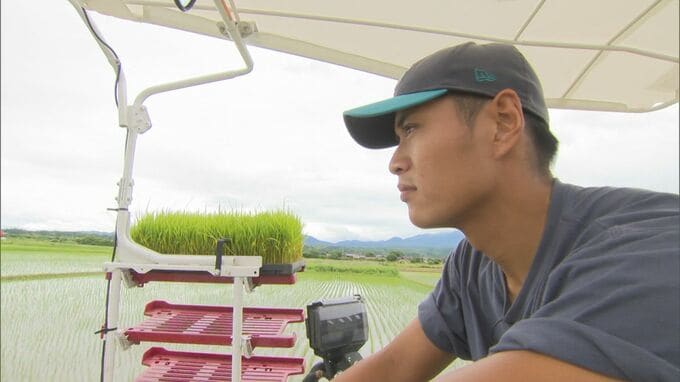 地元にUターンしてコメ農家になった元高校球児“山陰のおかわりくん”　野球と就農…春夏連続甲子園出場「米子東」当時の主砲が悩みながらも出した答え「農業っていう形で食を支えたい」|TBS NEWS DIG