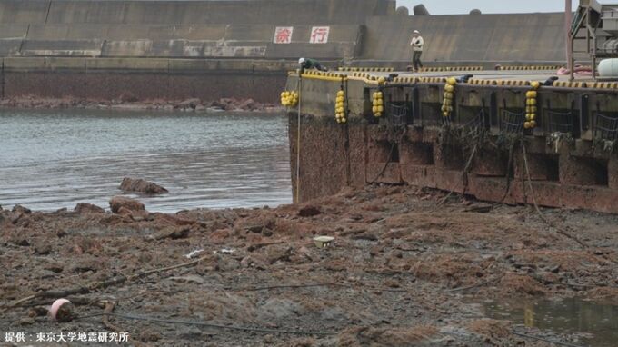 輪島市の漁港で約3.9ｍ隆起　砂浜では約2.5ｍの海岸線前進も確認　東京大学地震研究所|TBS NEWS DIG