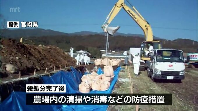 宮崎県川南町の鳥インフルエンザ　11日夕方までには殺処分が終了の見込み　|　MRTニュース ｜ ＭＲＴ宮崎放送