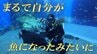 『自分が魚になったような気分に・・・』魚のダイナミックな写真を撮影せよ！【WITH！】　|　福島のニュース│TUF
