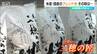 「5キロ換算で3752円」カリフォルニア産米と国産米のブレンドの販売始まる　その食味は？　|　新潟のニュース・天気｜BSN NEWS｜BSN新潟放送