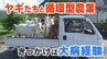 【SDGs】「動物たちは畑づくりのパートナー」ポニーとヤギと営む循環型の農業　きっかけは大病経験　|　山梨のニュース | ＵＴＹテレビ山梨