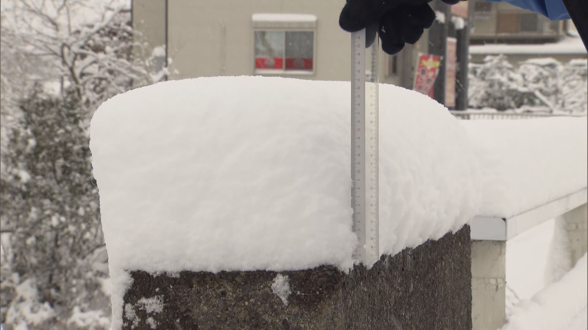 【東海地方の積雪】25日にかけて岐阜県を中心に愛知県や三重県でも大雪のおそれ（1/24正午 時点）
