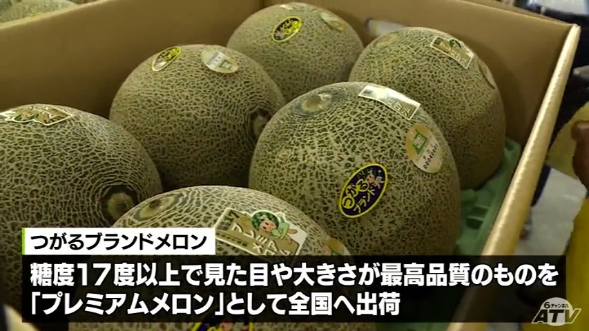 糖度17度以上！最高級ブランドメロンの全国出荷始まる 青森県つがる市