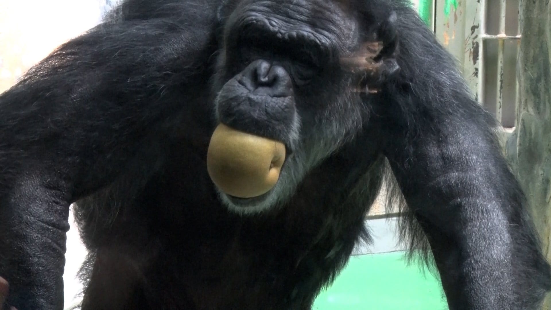 img_f3306ff6bb64758903b592aa88