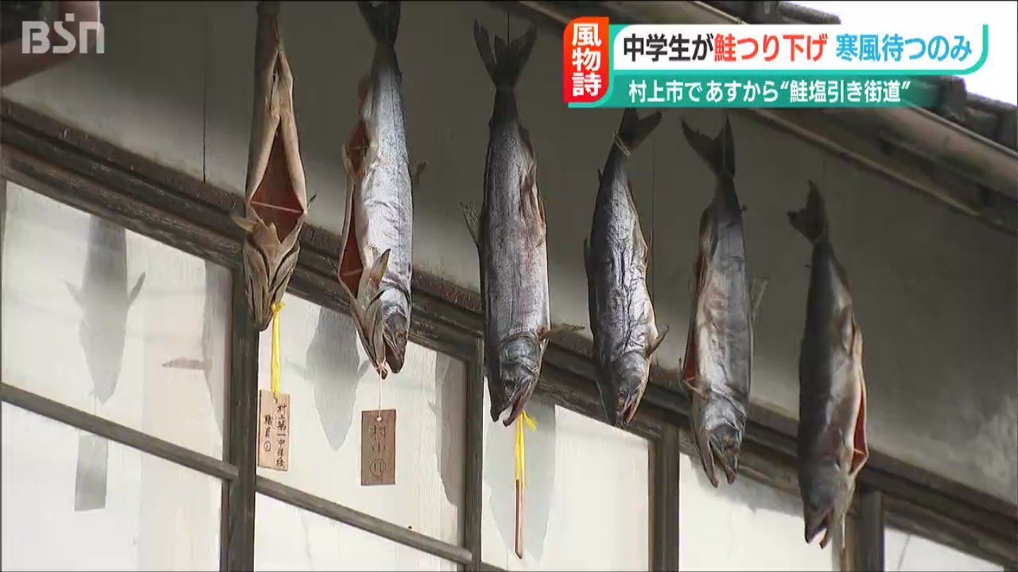 いよいよ年の瀬 軒先に塩引き鮭がずらーっと並ぶ 越後村上鮭塩引き街道 新潟の冬の風物詩 Bsn News Bsn新潟放送