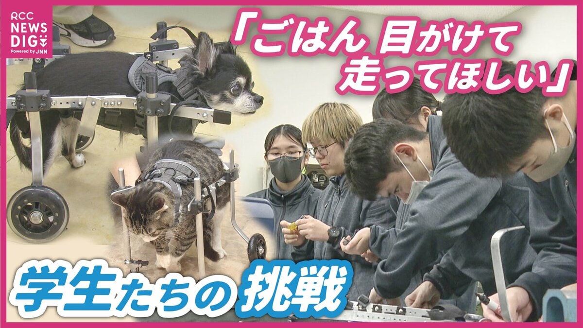 「大好きな散歩をもう一度」大学生が動物用車いすを製作