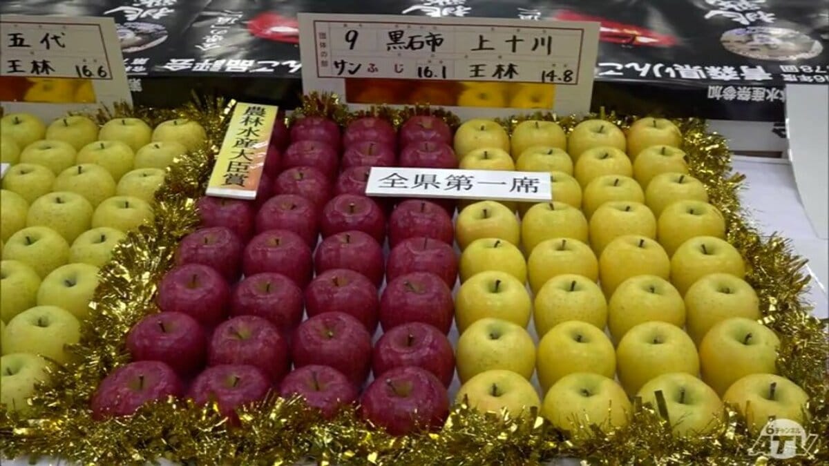 りんこ ✨ 4️⃣点♡ 今年産リンゴの“頂”が決定 青森県りんご品評会に500点以上が出品 青森