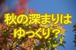 3か月予報発表 秋の訪れ・深まりは今年も遅め 9月・10月は関東以西の太平洋側中心に雨量が平年より多い見込み tbc気象台|TBS NEWS DIG