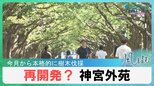 再開発？神宮外苑　イチョウ並木で有名な都民の憩いの場に起きようとしている変化とは？【風をよむ】サンデーモーニング|TBS NEWS DIG