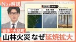 迫る炎の脅威…岩手・山林火災「数年に1回の規模」に　なぜ延焼拡大？“負のスパイラル”断ち切るには【Nスタ解説】|TBS NEWS DIG